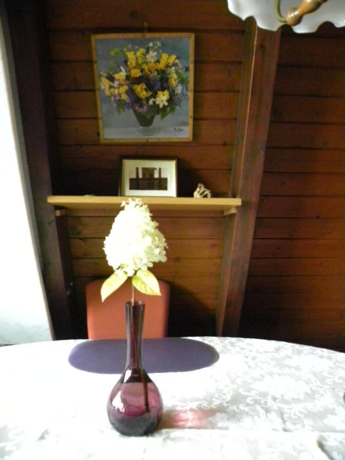 Ferienhaus Sommerland Auszeithuette Freyung Exteriör bild